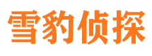 青河市侦探调查公司